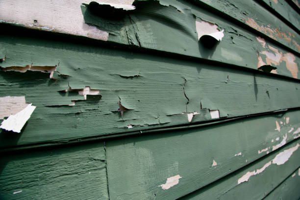 Affordable Siding Repair and Maintenance Services in Alexandria, MN